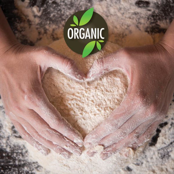 RedBrick Pizza Organic Dough
