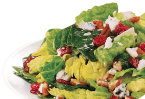 Salad Plate 300x205 